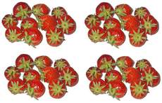 Erdbeeren-4x10.jpg